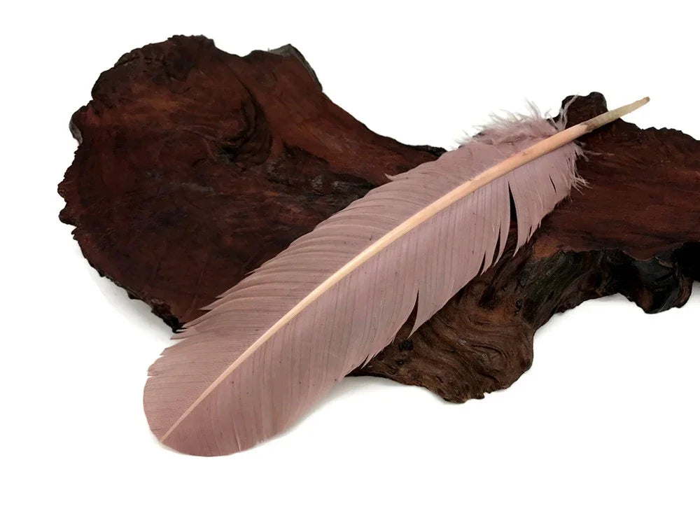 Single large mauve feather resting on a dark rustic wood piece.