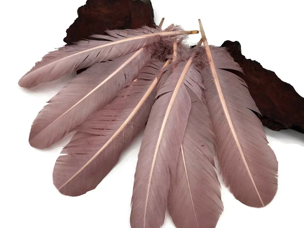Set of soft dusty pink feathers for DIY crafts and fashion decor.