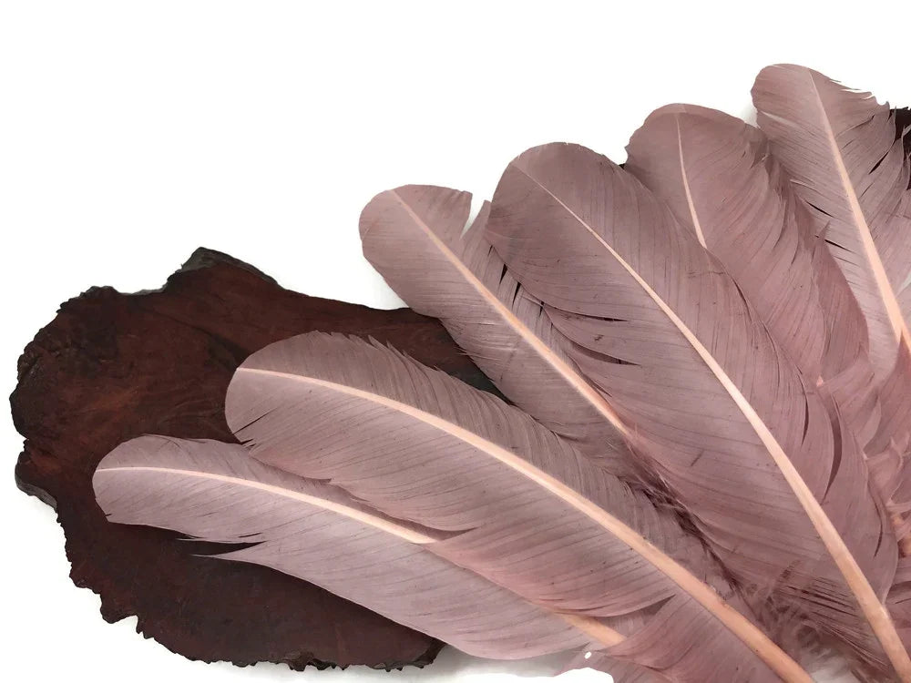 Large dusty pink feathers for crafts and fashion decor on a dark wood slice.