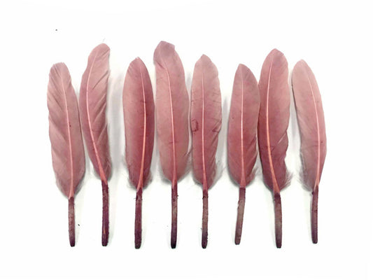 1 Pack - Taupe Dyed Duck Cochettes Loose Wing Quill Feather 0.30 Oz.