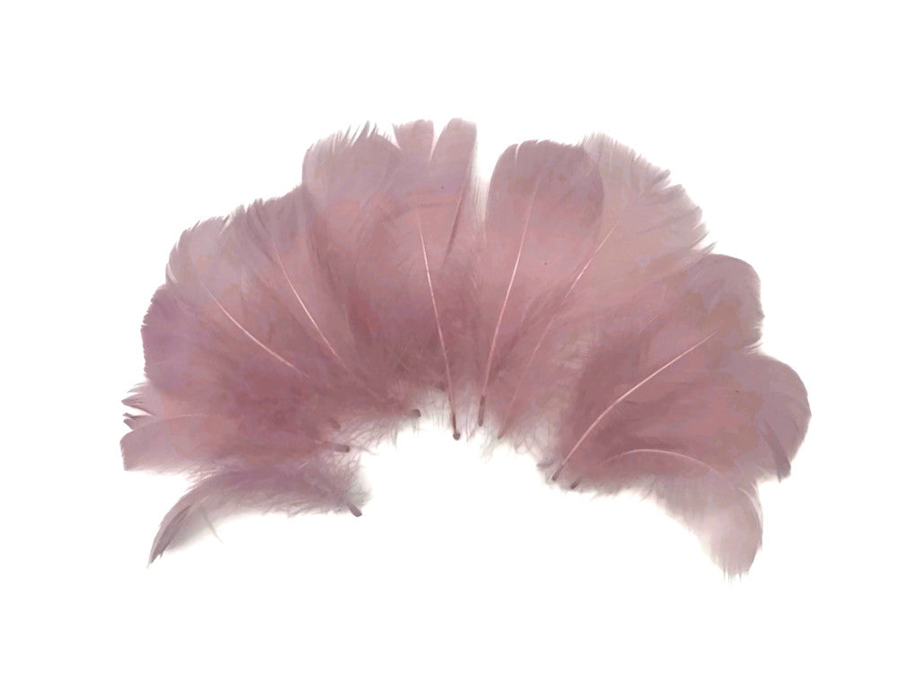 1 Pack - 2-3" Taupe Goose Coquille Loose Feathers - 0.35 Oz.