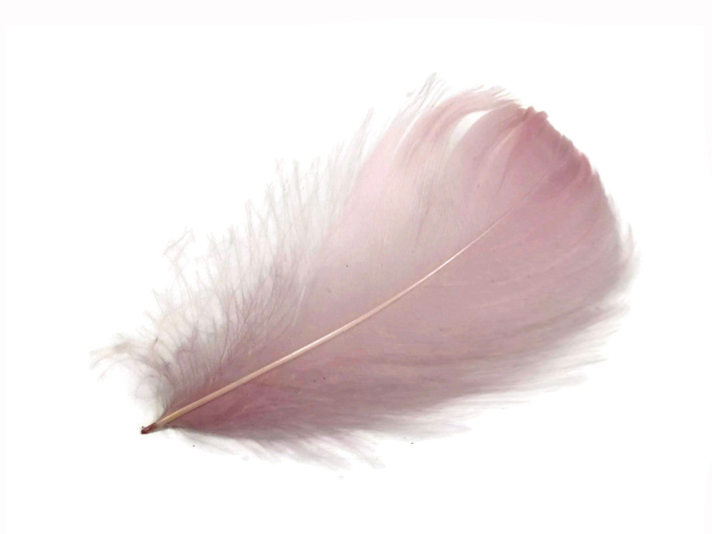 1 Pack - 2-3" Taupe Goose Coquille Loose Feathers - 0.35 Oz.