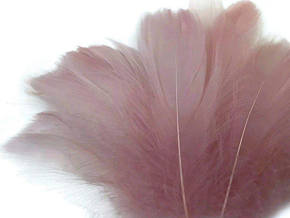 1 Pack - 2-3" Taupe Goose Coquille Loose Feathers - 0.35 Oz.