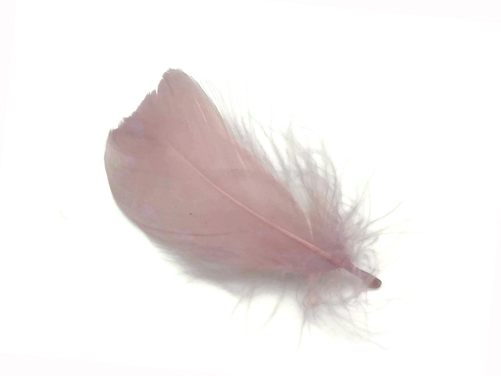 1 Pack - 2-3" Taupe Goose Coquille Loose Feathers - 0.35 Oz.