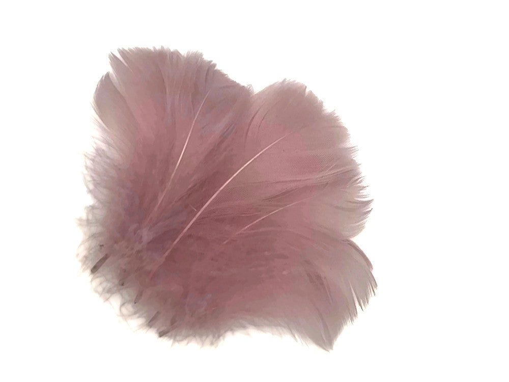 1 Pack - 2-3" Taupe Goose Coquille Loose Feathers - 0.35 Oz.