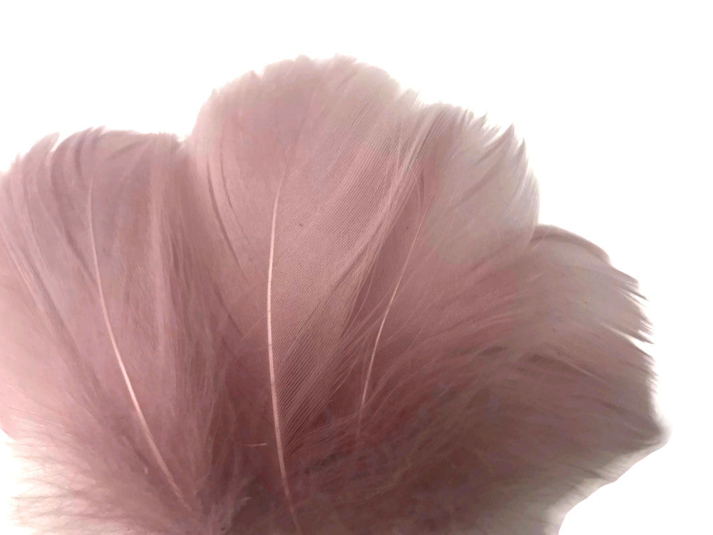 1/4 Lb - 2-3" Taupe Goose Coquille Loose Wholesale Feathers (Bulk)