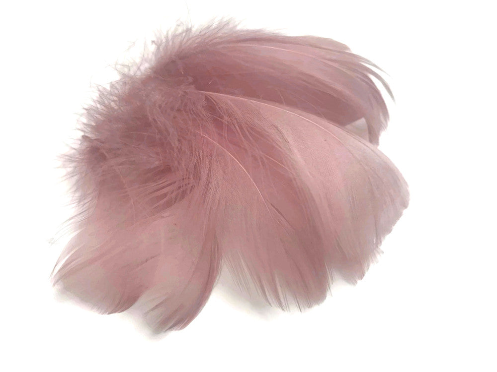 1 Pack - 2-3" Taupe Goose Coquille Loose Feathers - 0.35 Oz.