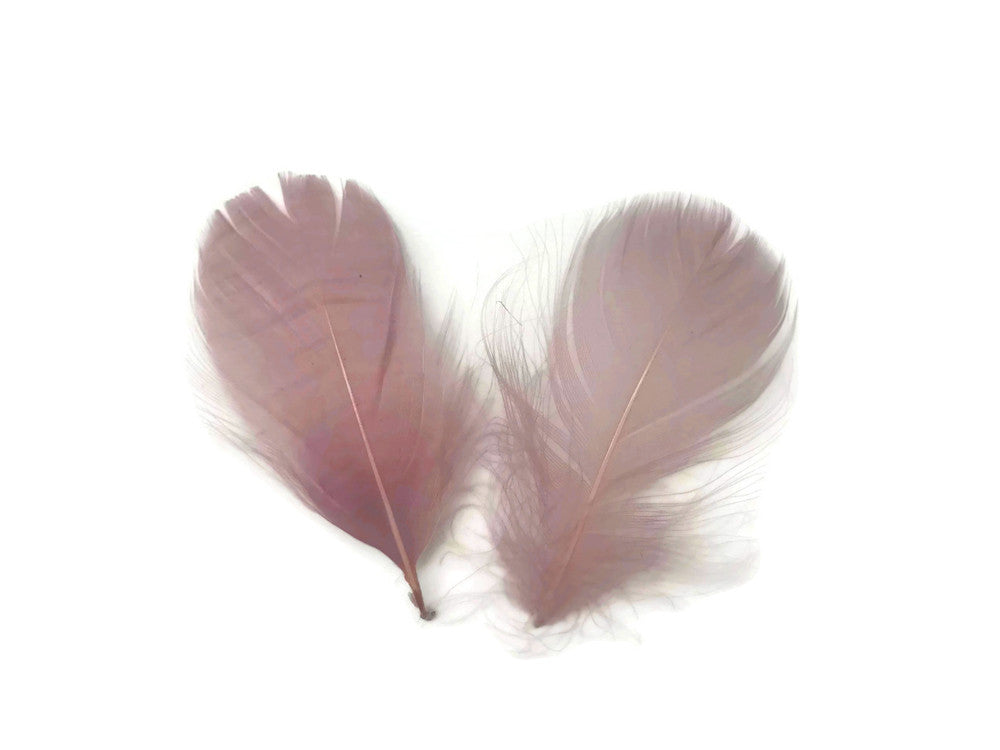 1 Pack - 2-3" Taupe Goose Coquille Loose Feathers - 0.35 Oz.