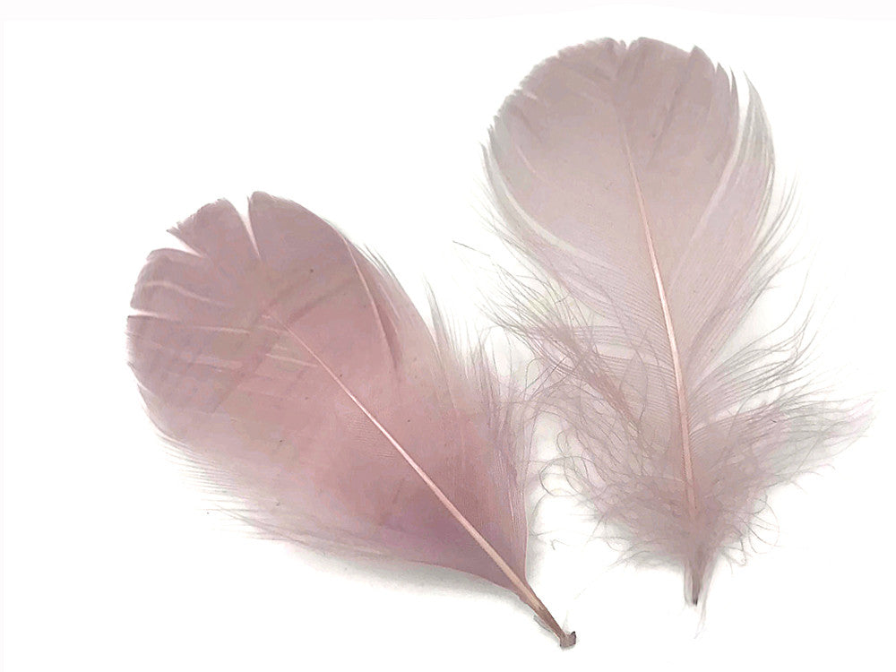 1 Pack - 2-3" Taupe Goose Coquille Loose Feathers - 0.35 Oz.