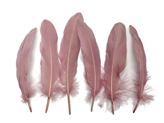 1 Pack - Taupe Goose Satinettes Pallet Soft Wing Quill Loose Feathers - 0.3 Oz