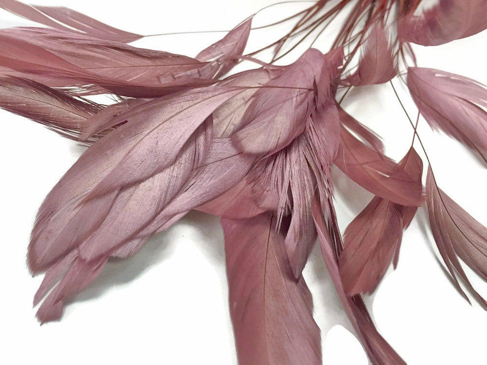 1 Dozen - Taupe Stripped Rooster Coque Tail Feathers