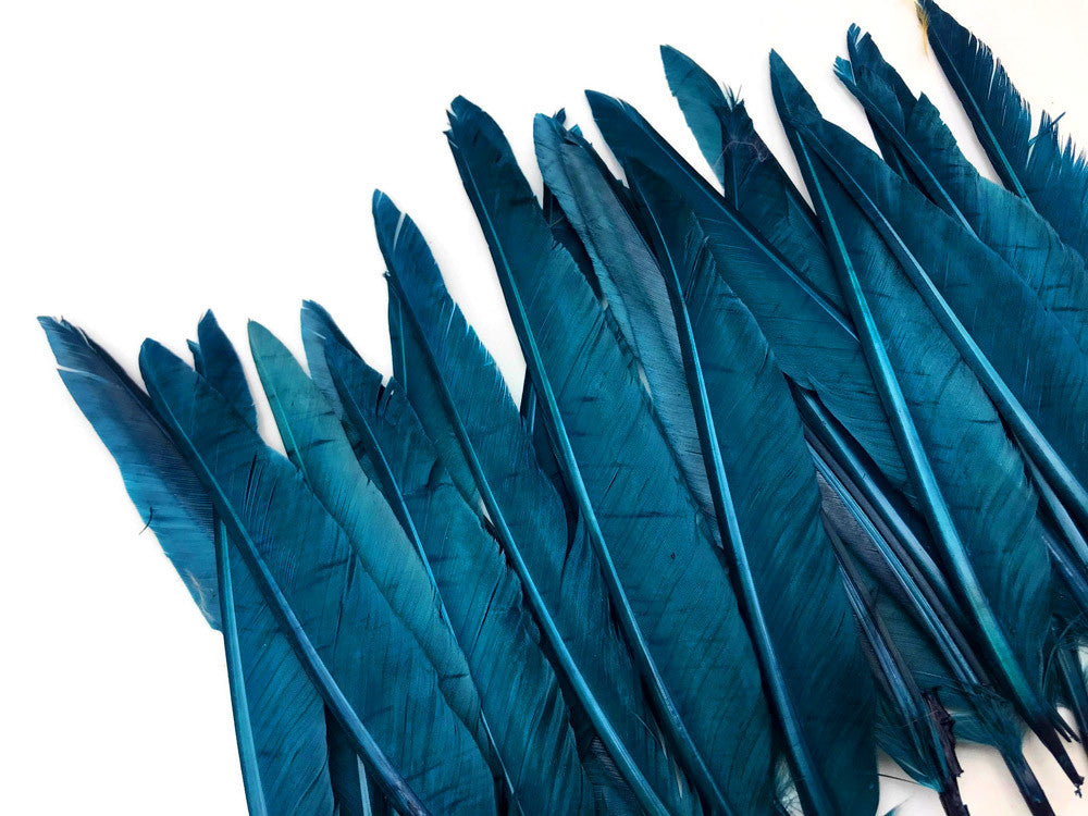 1/4 Lbs - Teal Blue Duck Pointer Primary Wing Wholesale Feathers (Bulk)