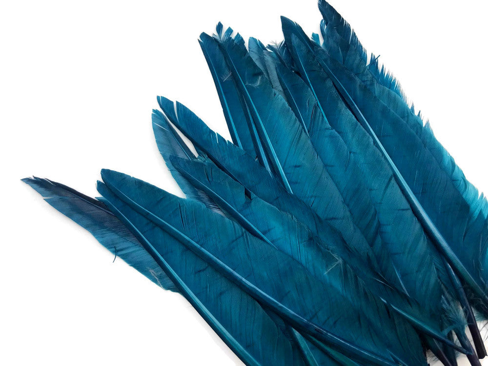 1/4 Lbs - Teal Blue Duck Pointer Primary Wing Wholesale Feathers (Bulk)