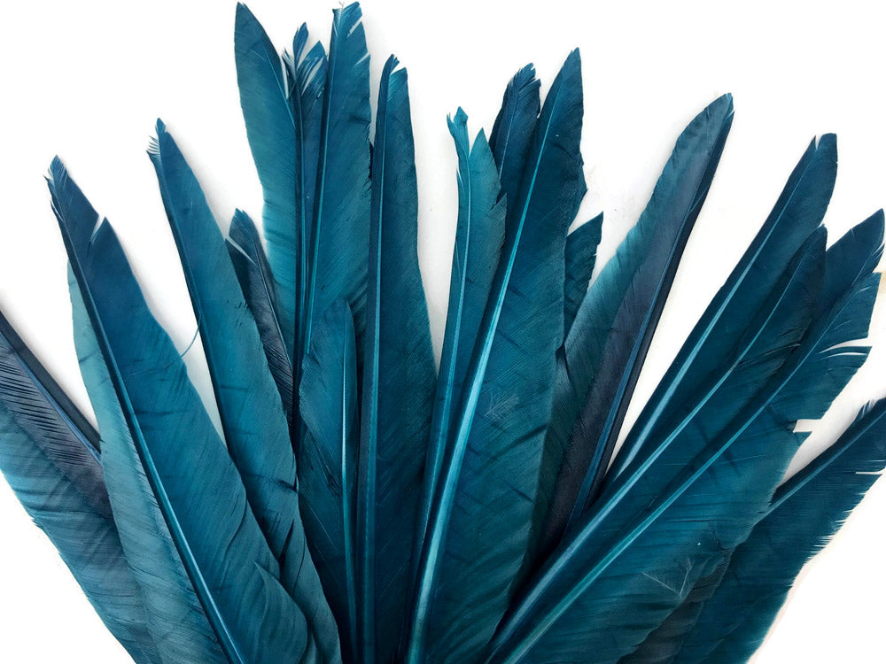 1/4 lbs. - Teal Blue Duck Pointer Primary Wing Wholesale Feathers (Bulk)