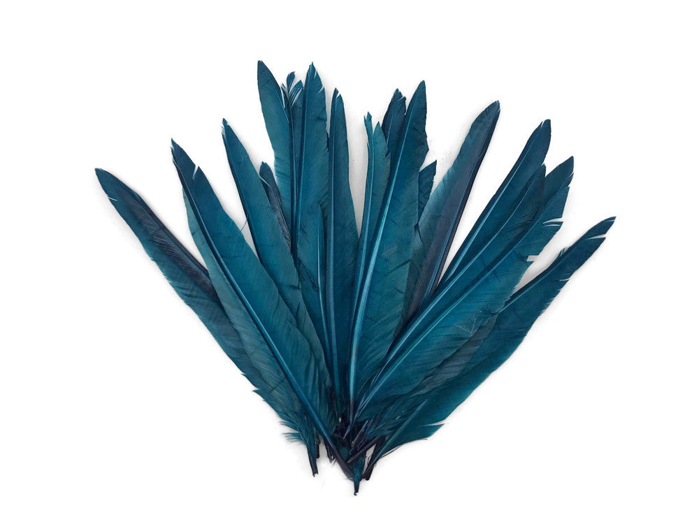 1/4 Lbs - Teal Blue Duck Pointer Primary Wing Wholesale Feathers (Bulk)