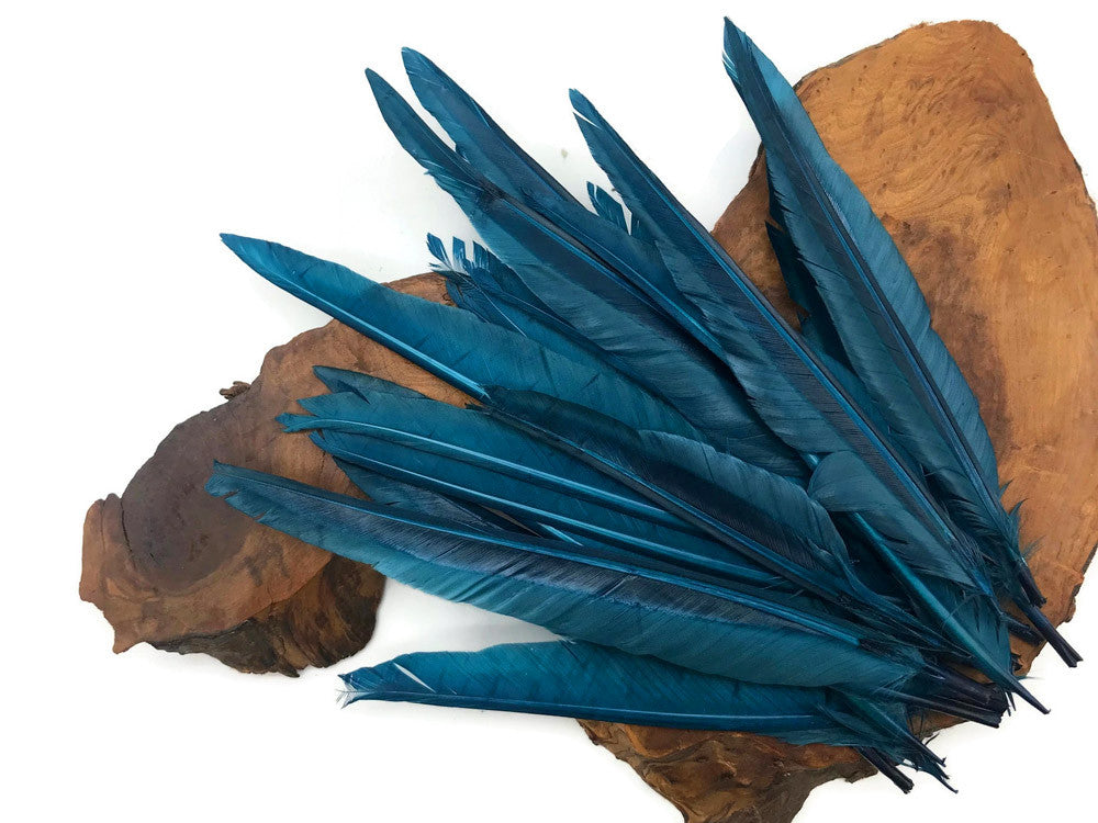 1/4 Lbs - Teal Blue Duck Pointer Primary Wing Wholesale Feathers (Bulk)