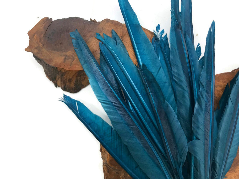 1/4 lbs. - Teal Blue Duck Pointer Primary Wing Wholesale Feathers (Bulk)
