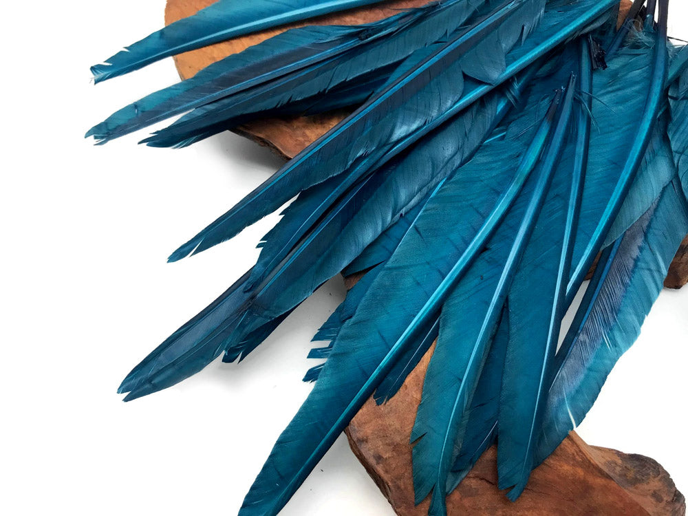 1/4 lbs. - Teal Blue Duck Pointer Primary Wing Wholesale Feathers (Bulk)