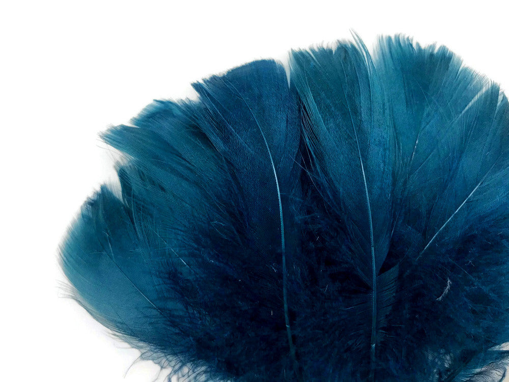 1/4 Lb - 2-3" Teal Blue Goose Coquille Loose Wholesale Feathers (Bulk)