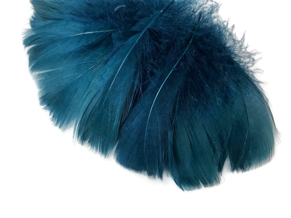 1/4 Lb - 2-3" Teal Blue Goose Coquille Loose Wholesale Feathers (Bulk)