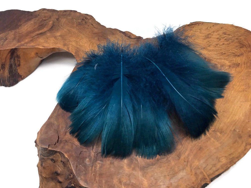 1 Pack - 2-3" Teal Blue Goose Coquille Loose Feathers - 0.35 Oz.