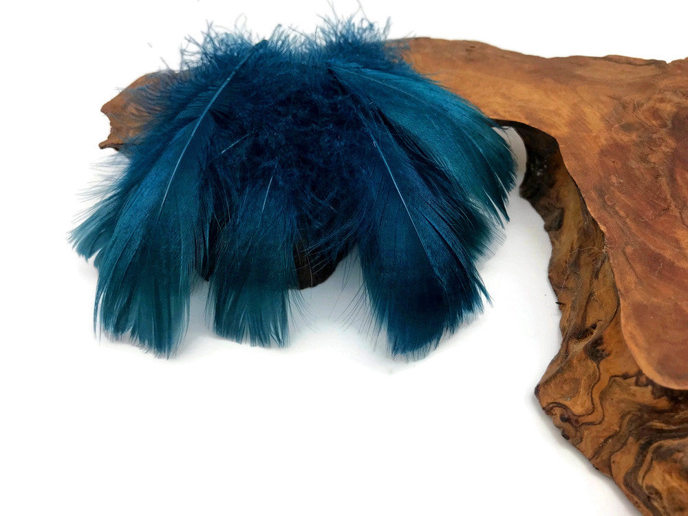 1 Pack - 2-3" Teal Blue Goose Coquille Loose Feathers - 0.35 Oz.