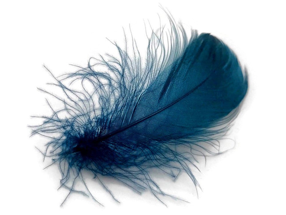 1 Pack - 2-3" Teal Blue Goose Coquille Loose Feathers - 0.35 Oz.