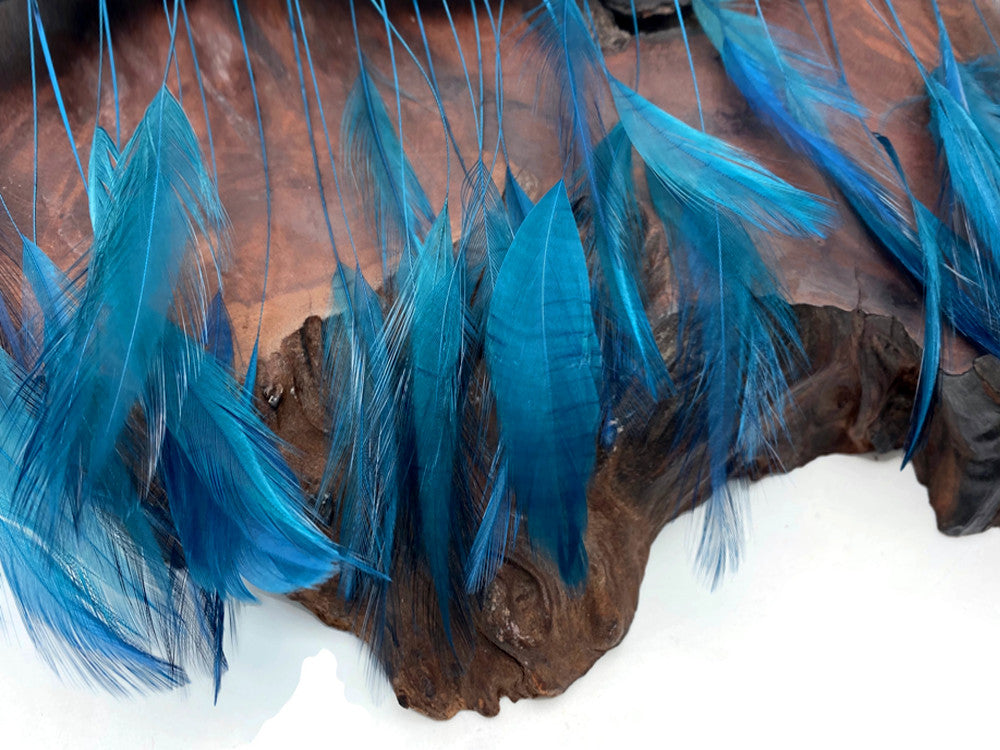 1 Dozen - Teal Blue Stripped Rooster Neck Hackle Eyelash Feather