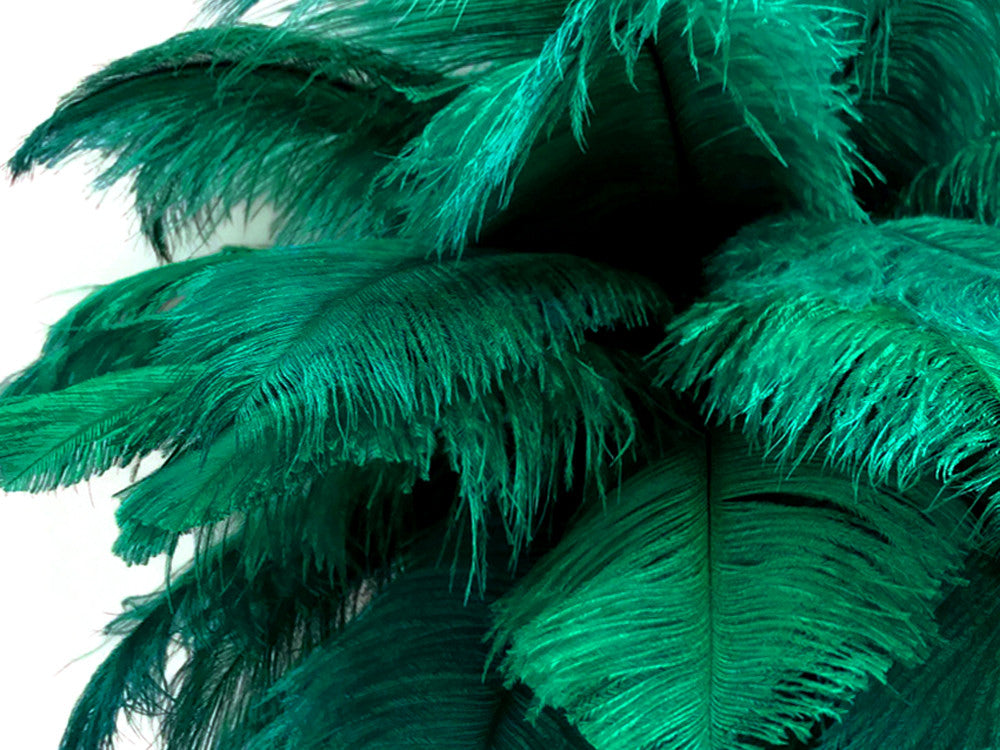 10 Pieces - 6-8" Peacock Green Ostrich Dyed Drabs Feathers