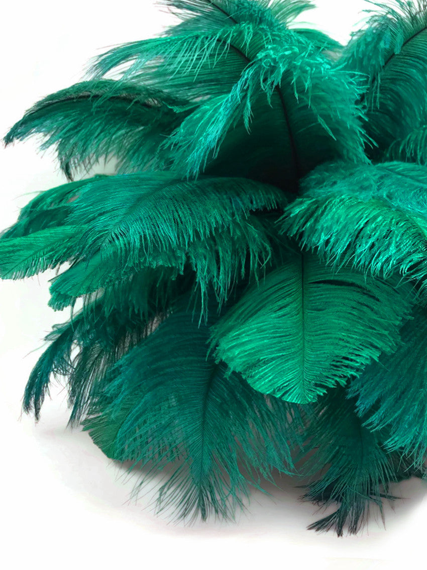 10 Pieces - 14-17" Teal Green Ostrich Dyed Drab Body Feathers