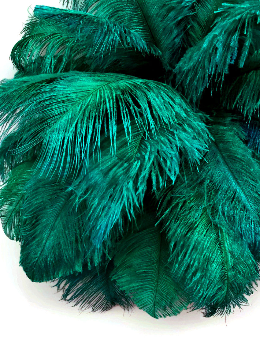 10 Pieces - 6-8" Peacock Green Ostrich Dyed Drabs Feathers