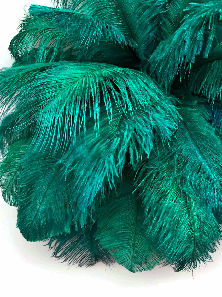 1/2 lb. - 14-17" Teal Green Ostrich Large Body Drab Wholesale Feathers (Bulk)