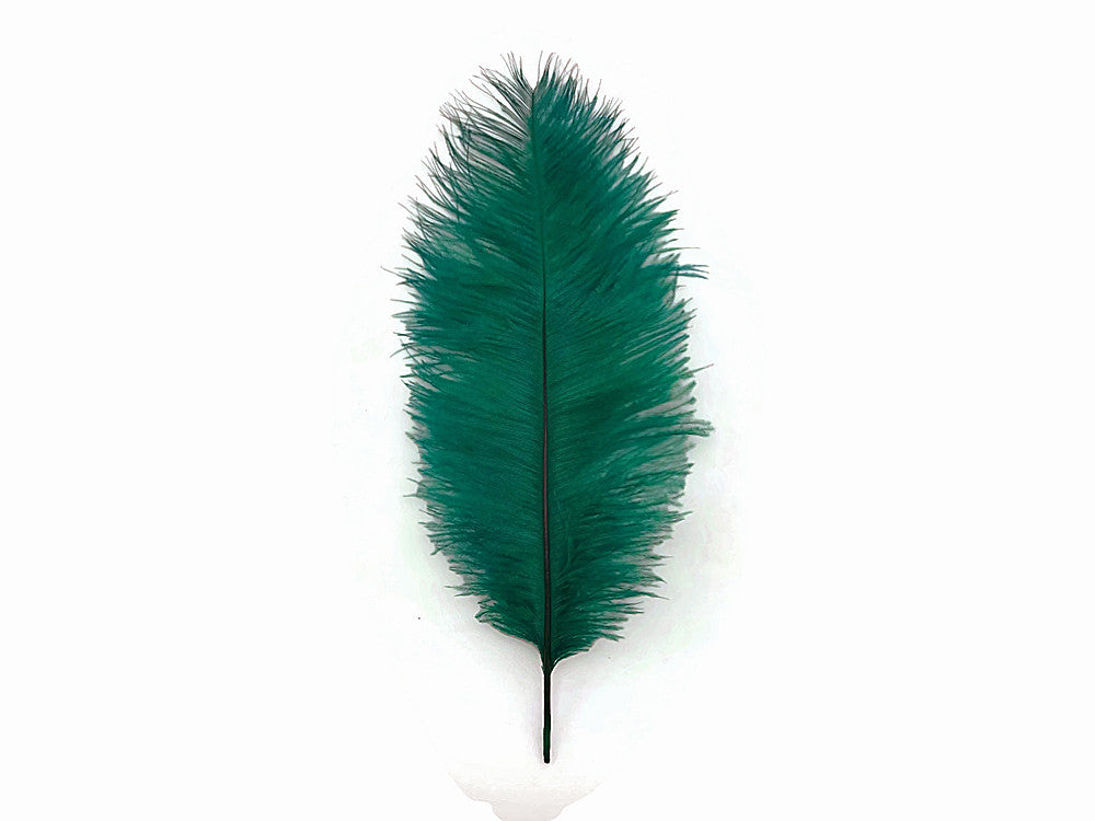 1/2 lb. - 14-17" Teal Green Ostrich Large Body Drab Wholesale Feathers (Bulk)
