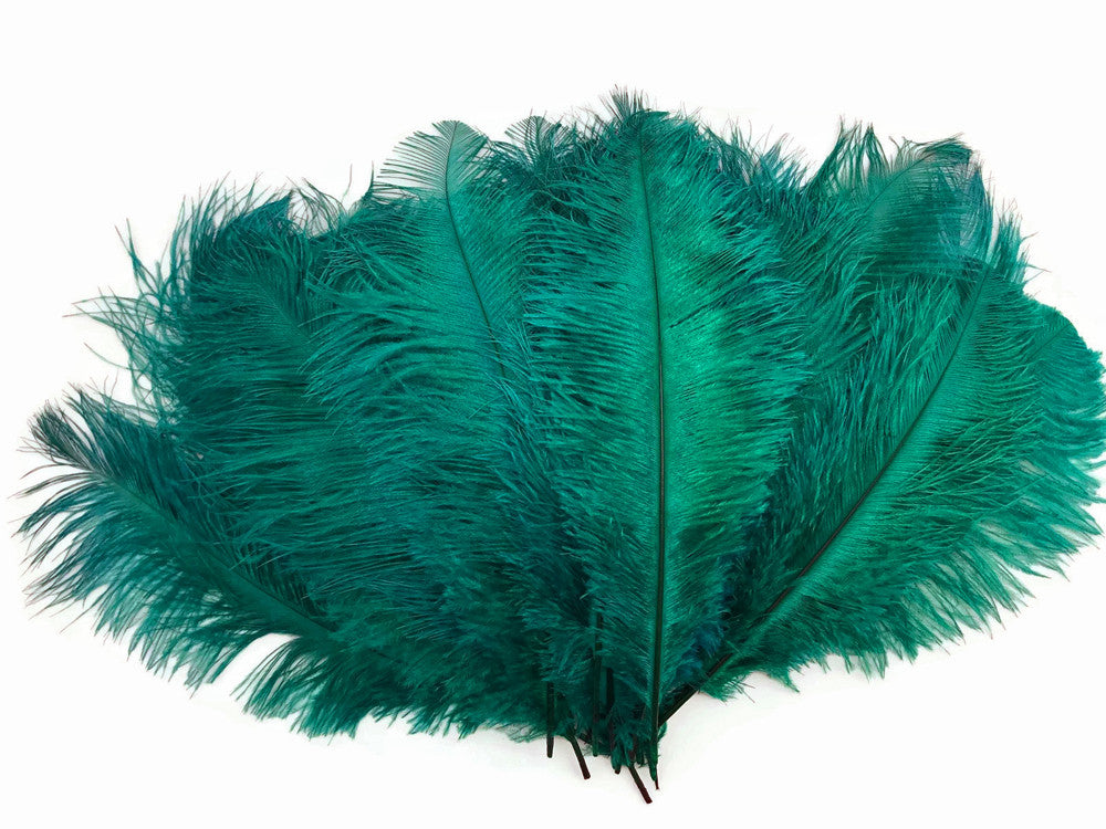 10 Pieces - 14-17" Teal Green Ostrich Dyed Drab Body Feathers