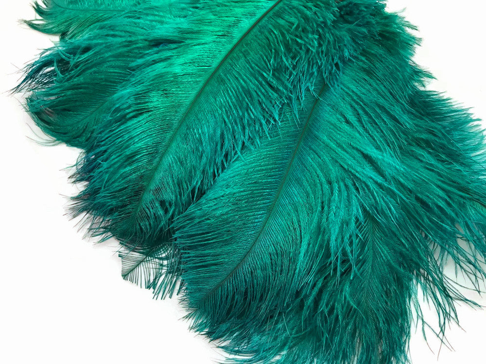 10 Pieces - 14-17" Teal Green Ostrich Dyed Drab Body Feathers