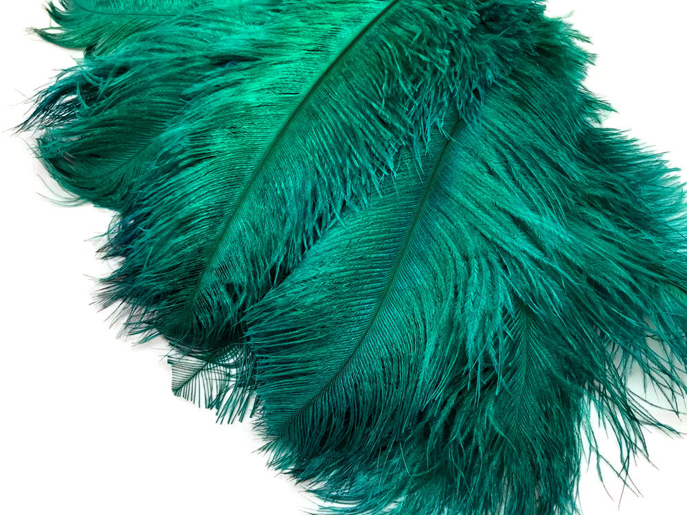 10 Pieces - 6-8" Peacock Green Ostrich Dyed Drabs Feathers