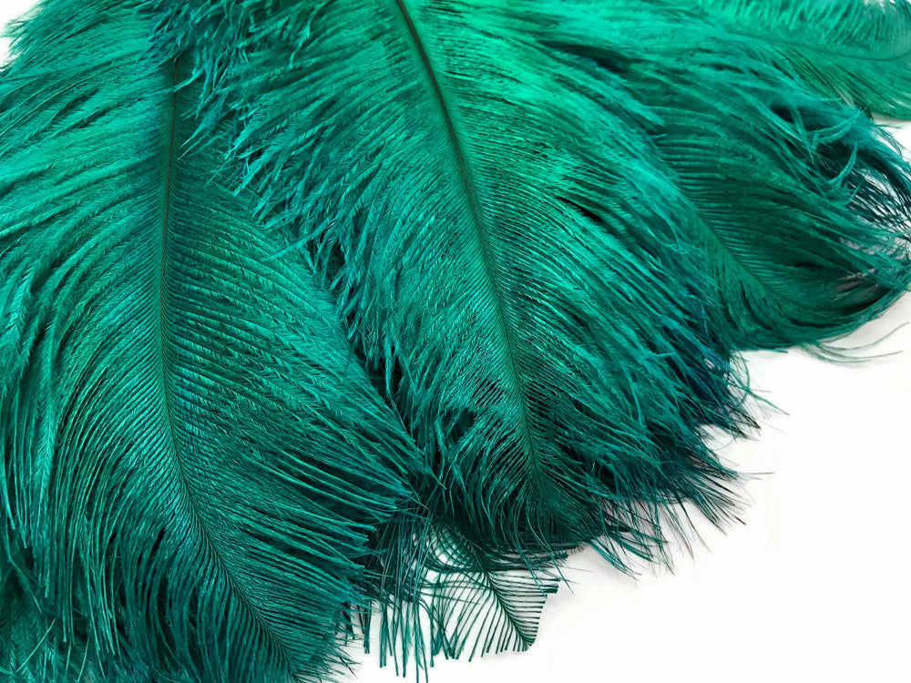 10 Pieces - 6-8" Peacock Green Ostrich Dyed Drabs Feathers