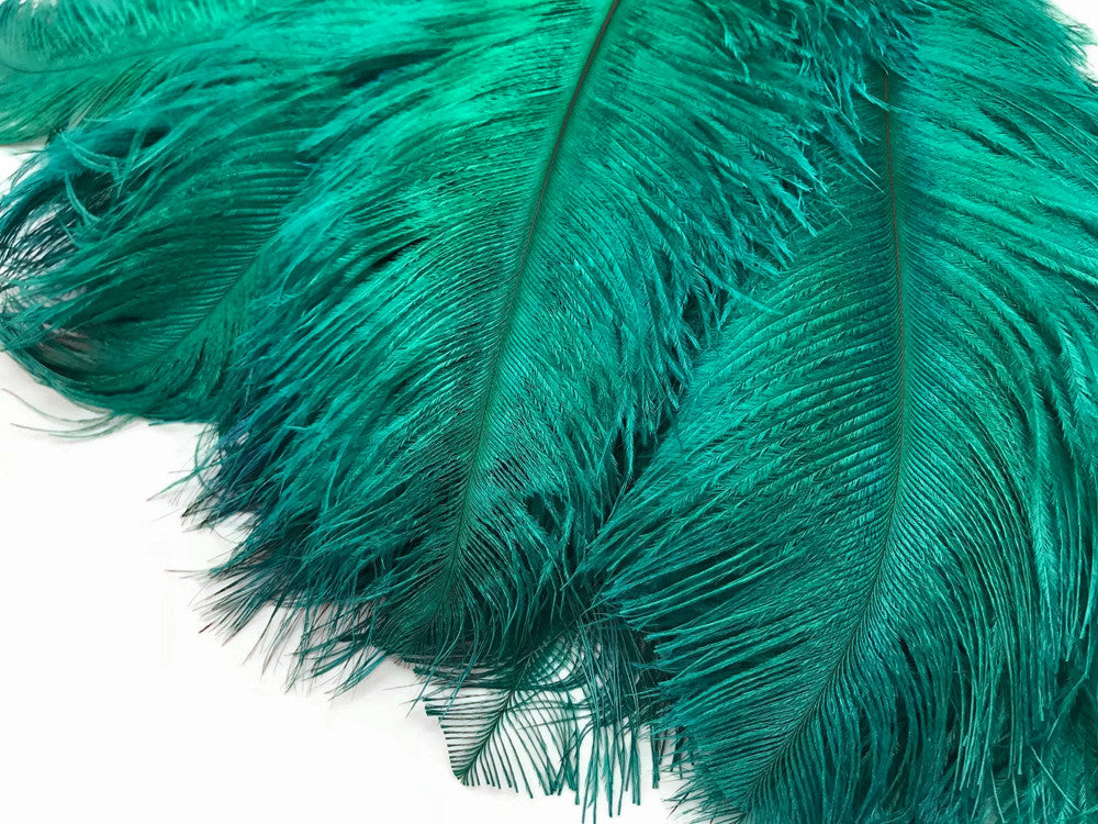 10 Pieces - 14-17" Teal Green Ostrich Dyed Drab Body Feathers