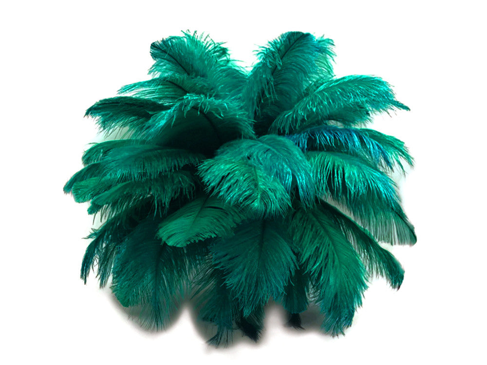 1/2 lb. - 14-17" Teal Green Ostrich Large Body Drab Wholesale Feathers (Bulk)