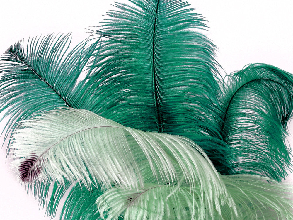 10 Pieces - 18-24" Teal Green Large Prime Grade Ostrich Wing Plume Centerpiece Feathers