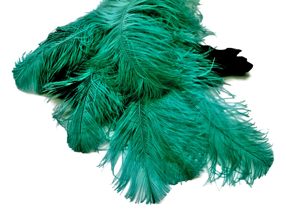 1/2 Lb. - 18-24" Teal Green Large Ostrich Wing Plume Wholesale Feathers (Bulk)