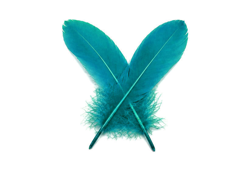 1 Pack - Peacock Blue Goose Satinettes Pallet Soft Wing Quill Loose Feathers - 0.3 Oz