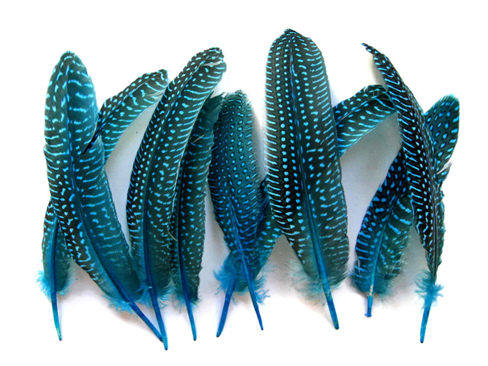 10 Pieces - Dyed Turquoise Blue Polka Dot Guinea Fowl Wing Quill Feathers