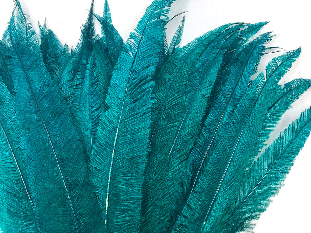 5 Pieces - Teal Blue Long Ostrich Nandu Trimmed Feathers