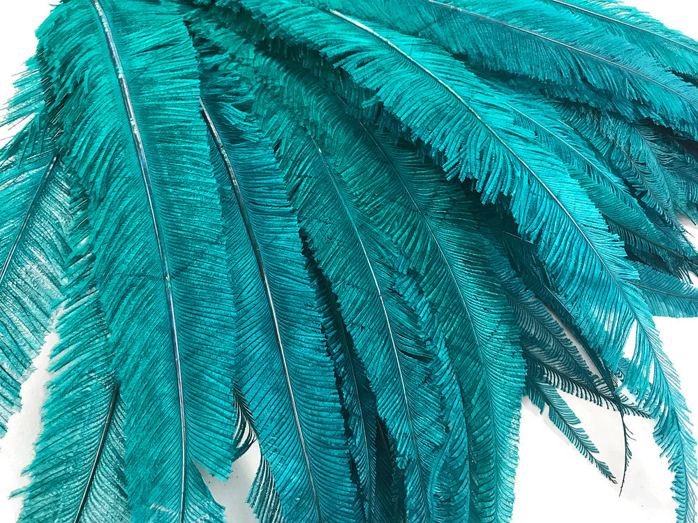 5 Pieces - Teal Blue Long Ostrich Nandu Trimmed Feathers