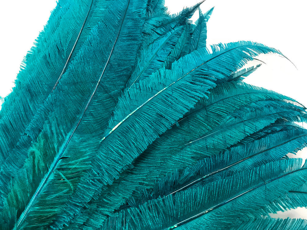 5 Pieces - Teal Blue Long Ostrich Nandu Trimmed Feathers