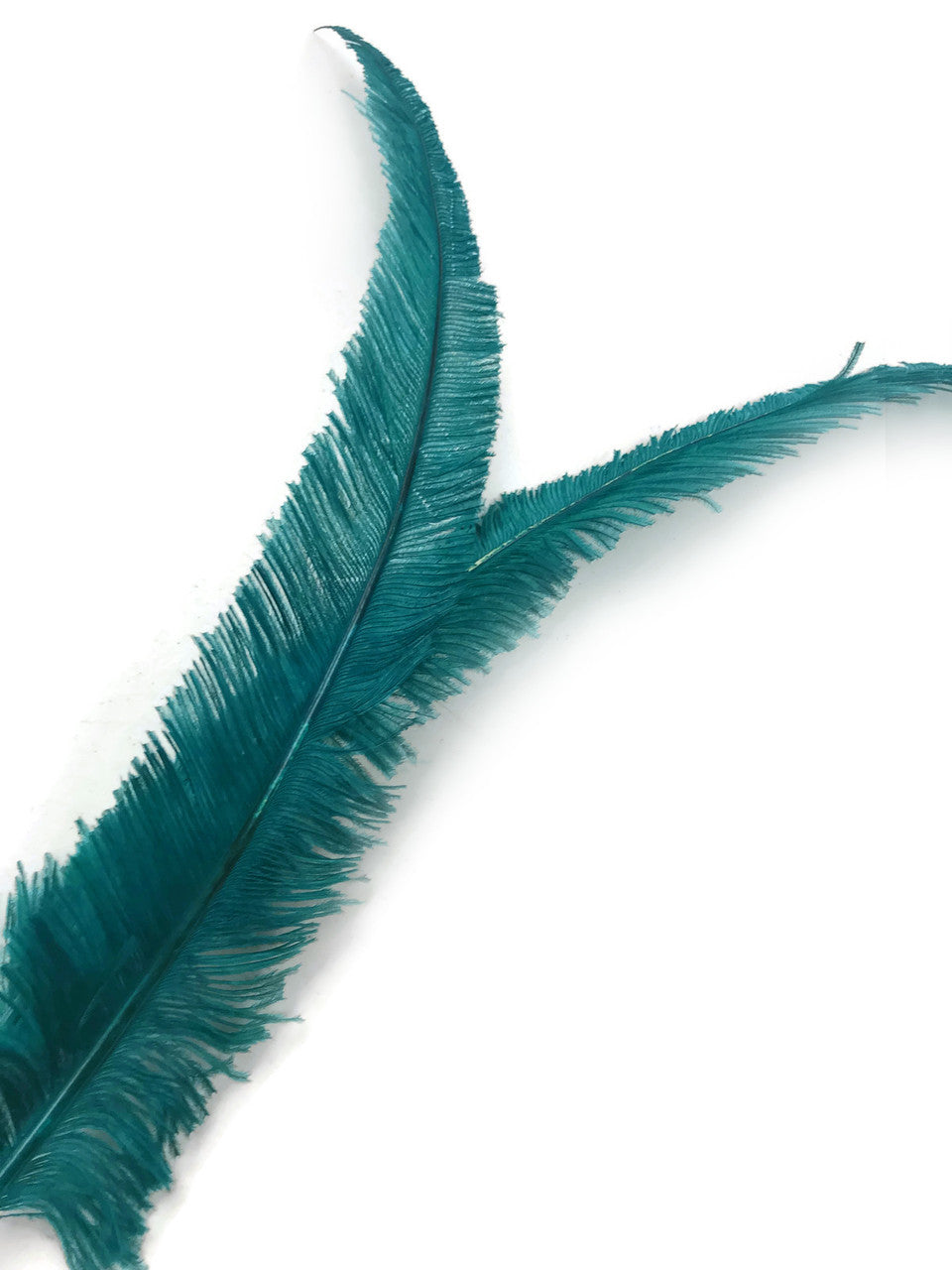 5 Pieces - Teal Blue Long Ostrich Nandu Trimmed Feathers