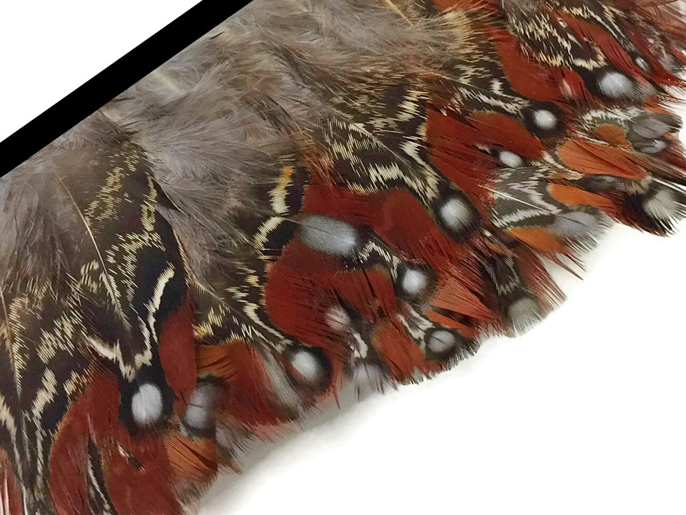 1 Yard - Natural Temminck Tragopan Rum Plumage Feather Trim