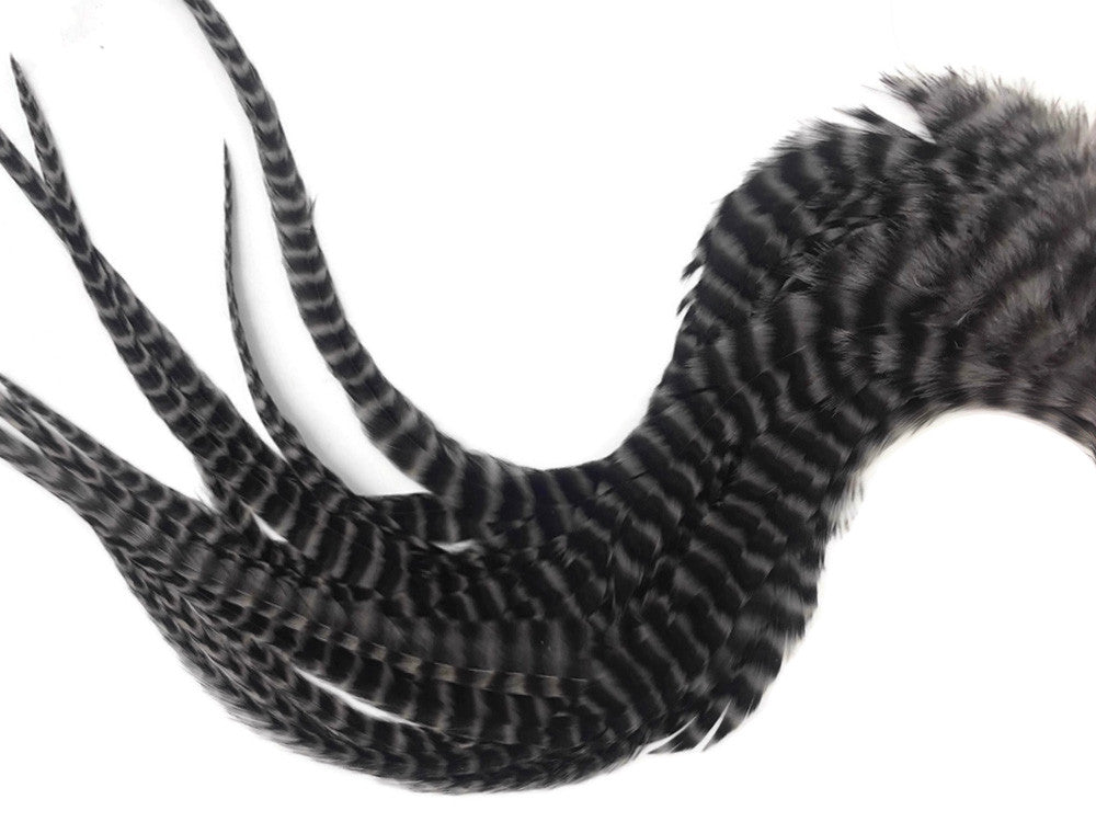6 Pieces - XL Grey Dun Thick Long Grizzly Whiting Farm Rooster Saddle Hair Extension Feathers