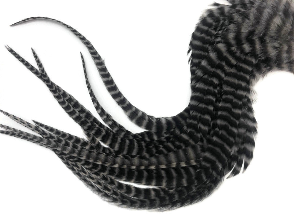 6 Pieces - XL Grey Dun Thick Long Grizzly Whiting Farm Rooster Saddle Hair Extension Feathers